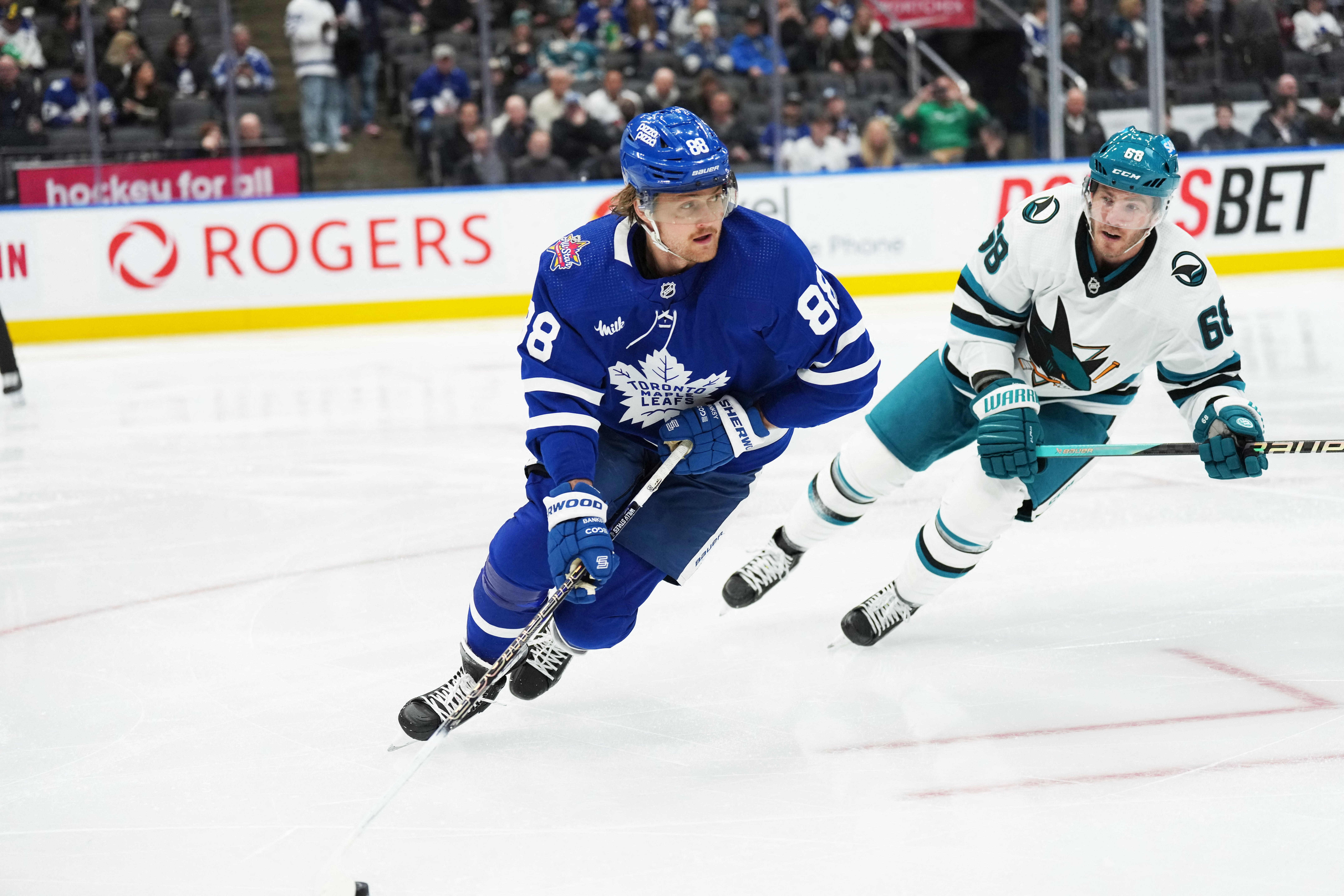 (31325) nyllet