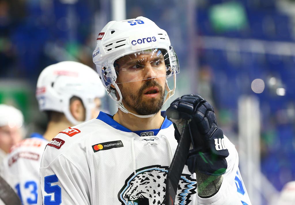 (19288) Linus Videll