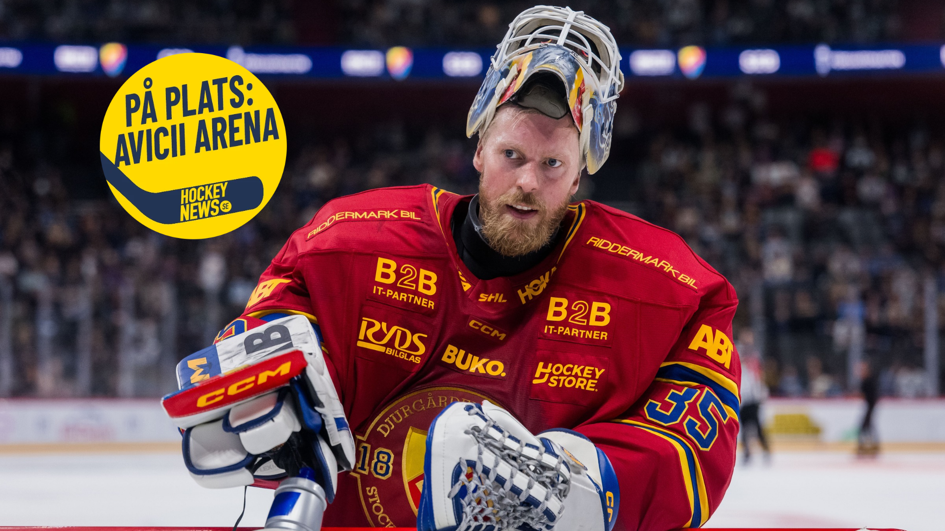 Magnus Hellberg