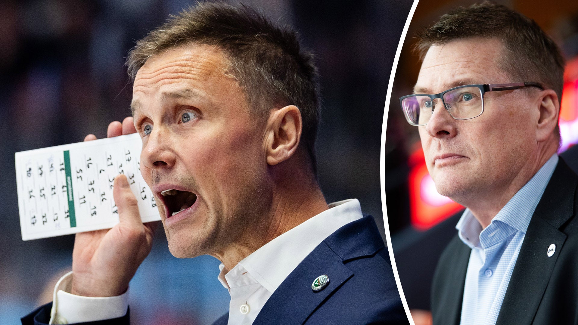 (30310) Roger Rönnberg och Tomas Thorsbrink