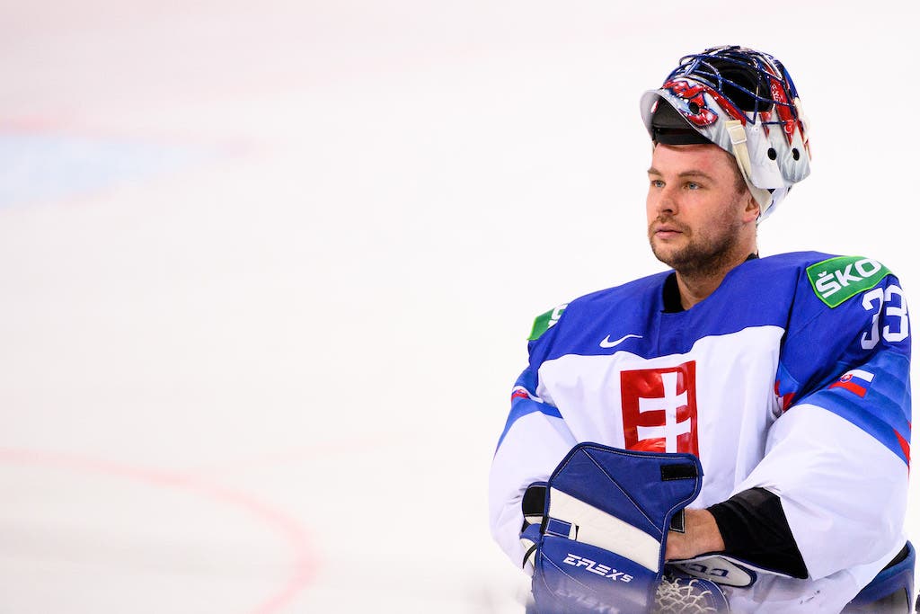 (20582) Julius Hudacek/Slovakien