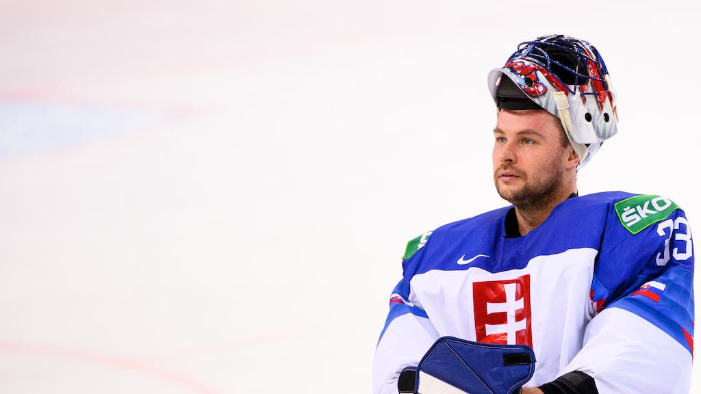 (20582) Julius Hudacek/Slovakien