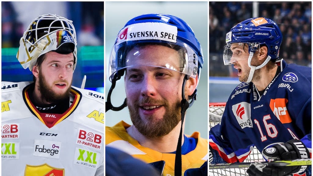 (10204) Reideborn/Omark/Krüger