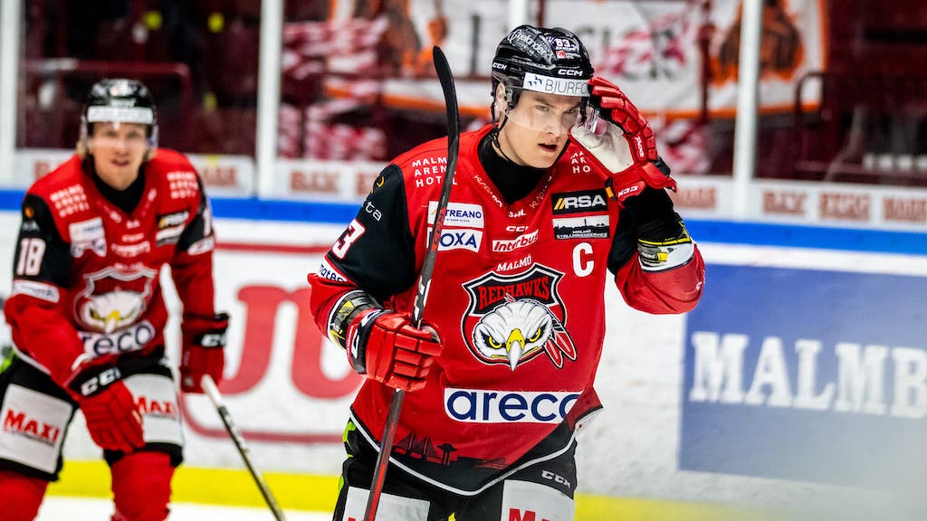 (26597) Fredrik Händemark Malmö