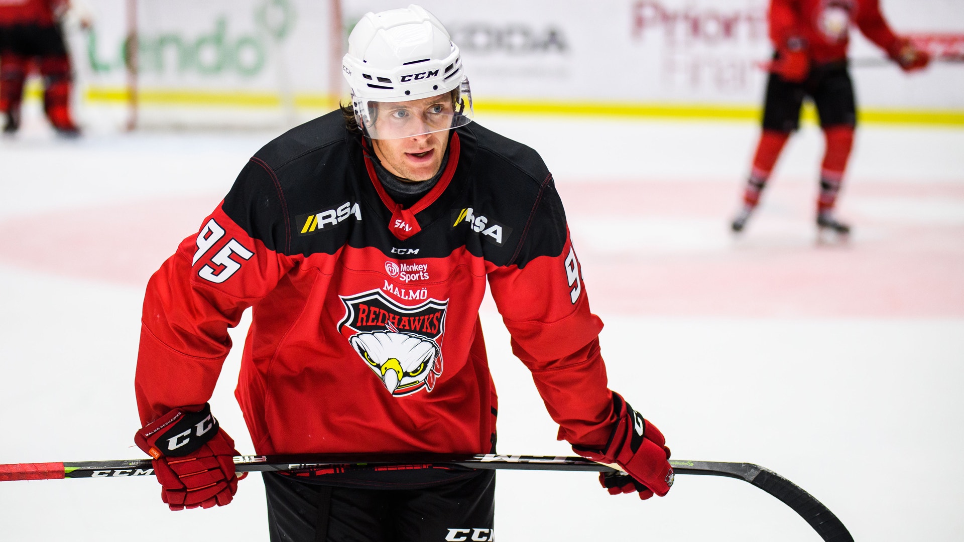 Petter Arvidson/Bildbyrån