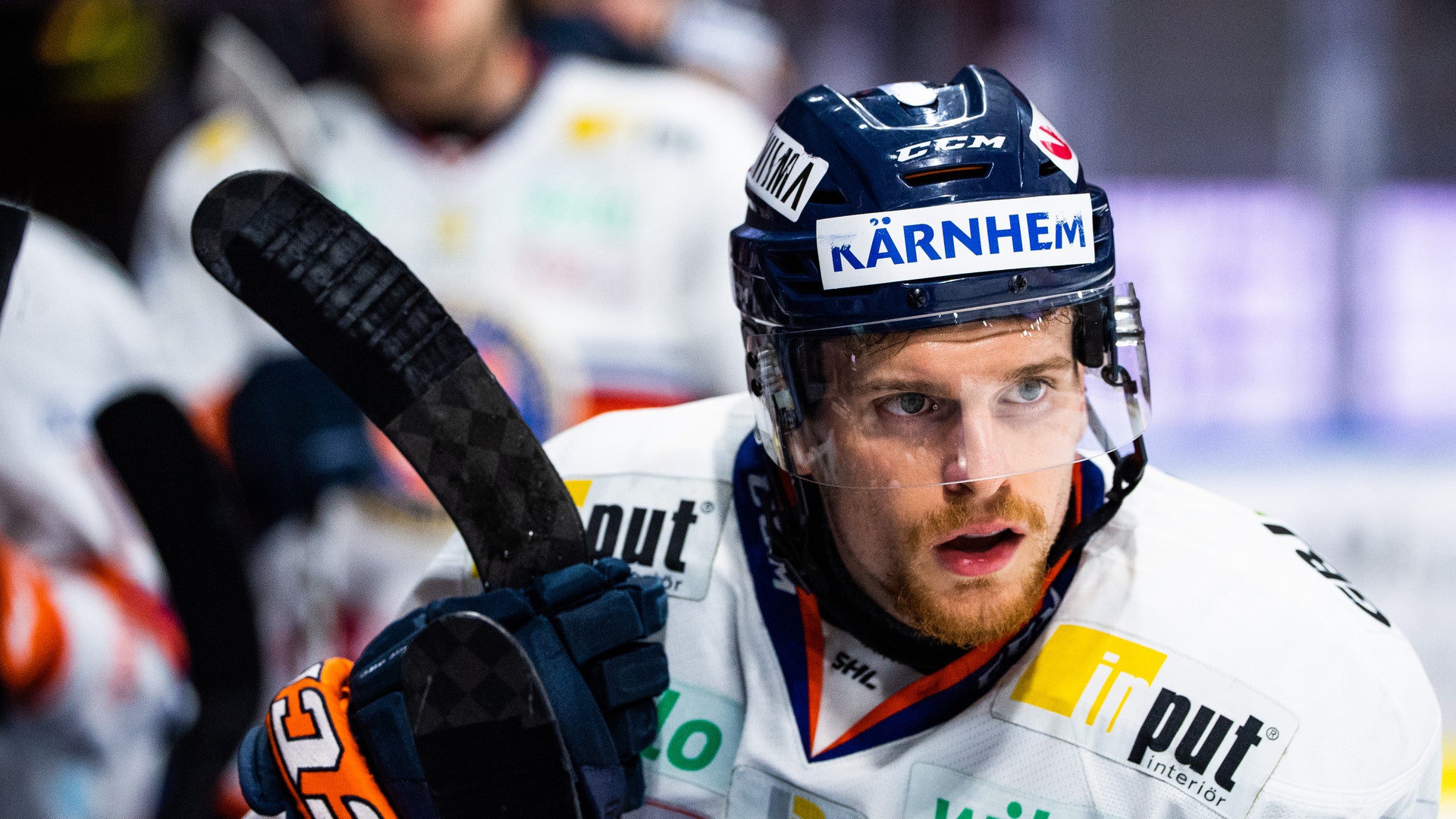 (7304) Brendan Shinnimin