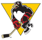 Wilkes-Barre/Scranton Penguins