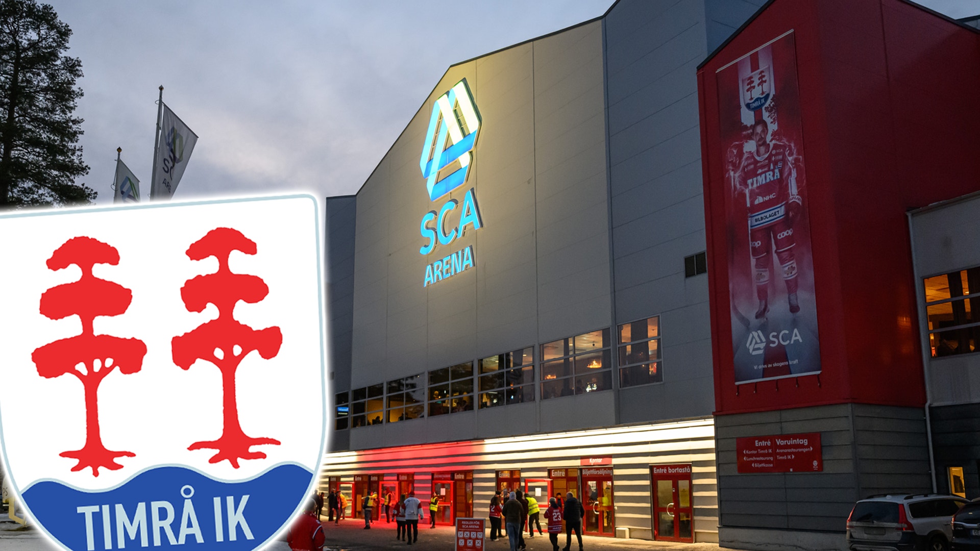 Timrå puff
