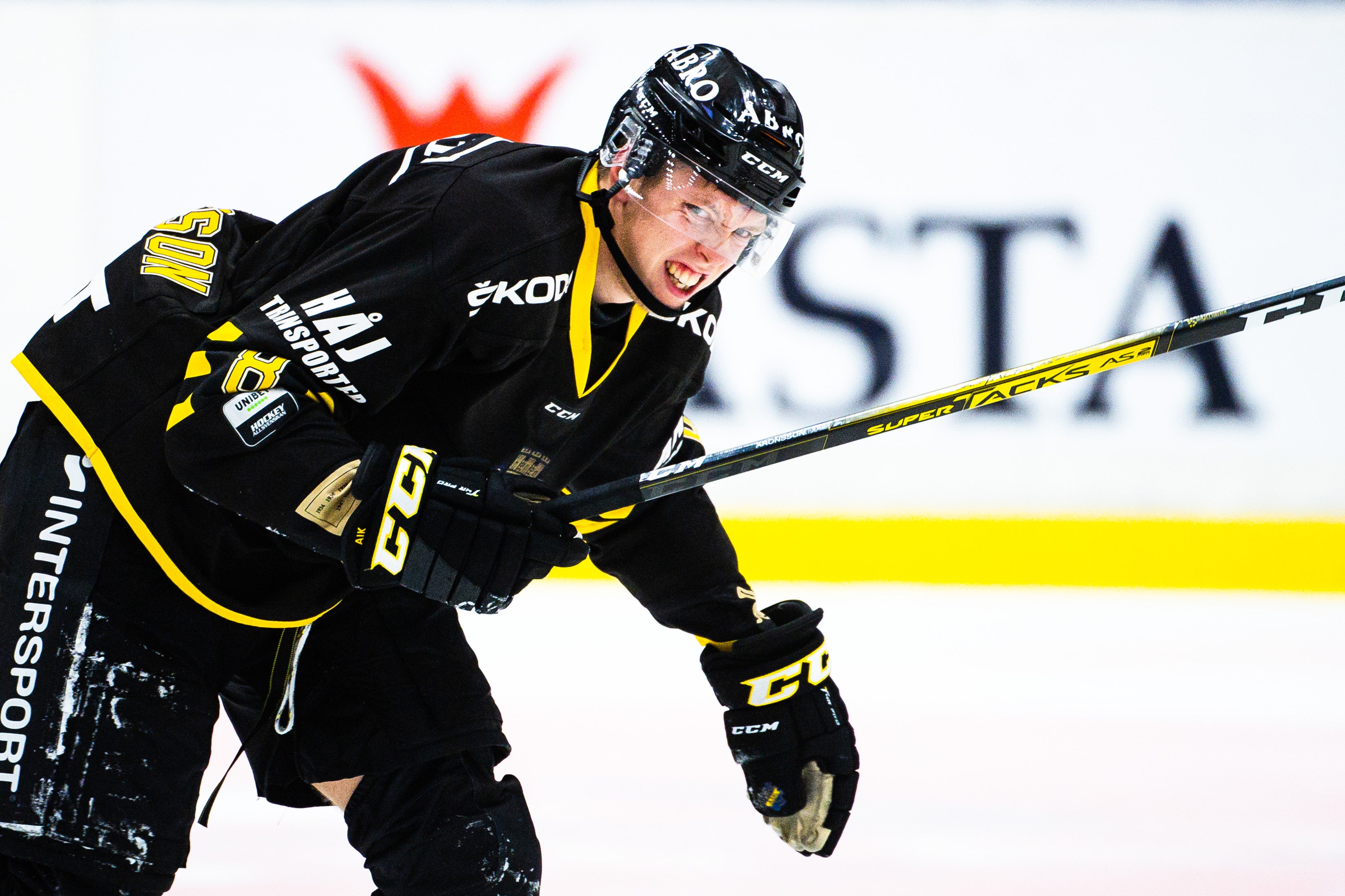 (13395) Emil Aronsson