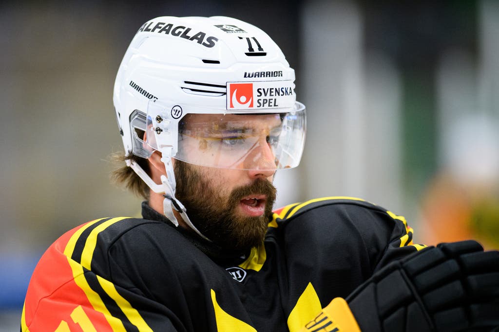 (22663) Svjatoslav Grebensjtjikov