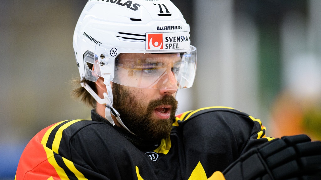 (22663) Svjatoslav Grebensjtjikov