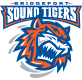 Bridgeport Sound Tigers