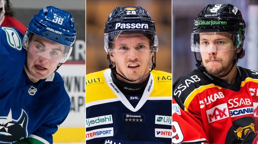 (17531) Höglander/Kinnvall/Berglund