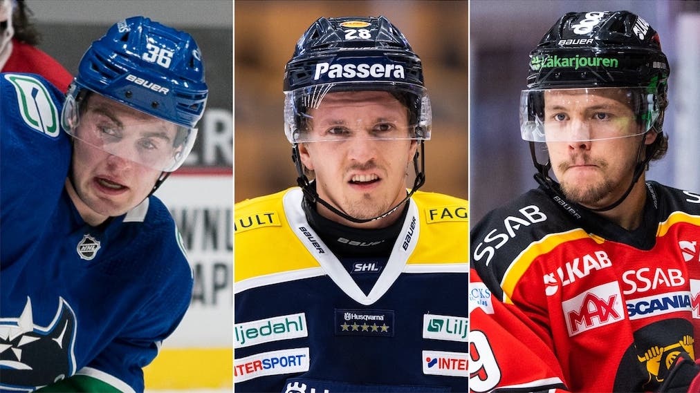 (17531) Höglander/Kinnvall/Berglund