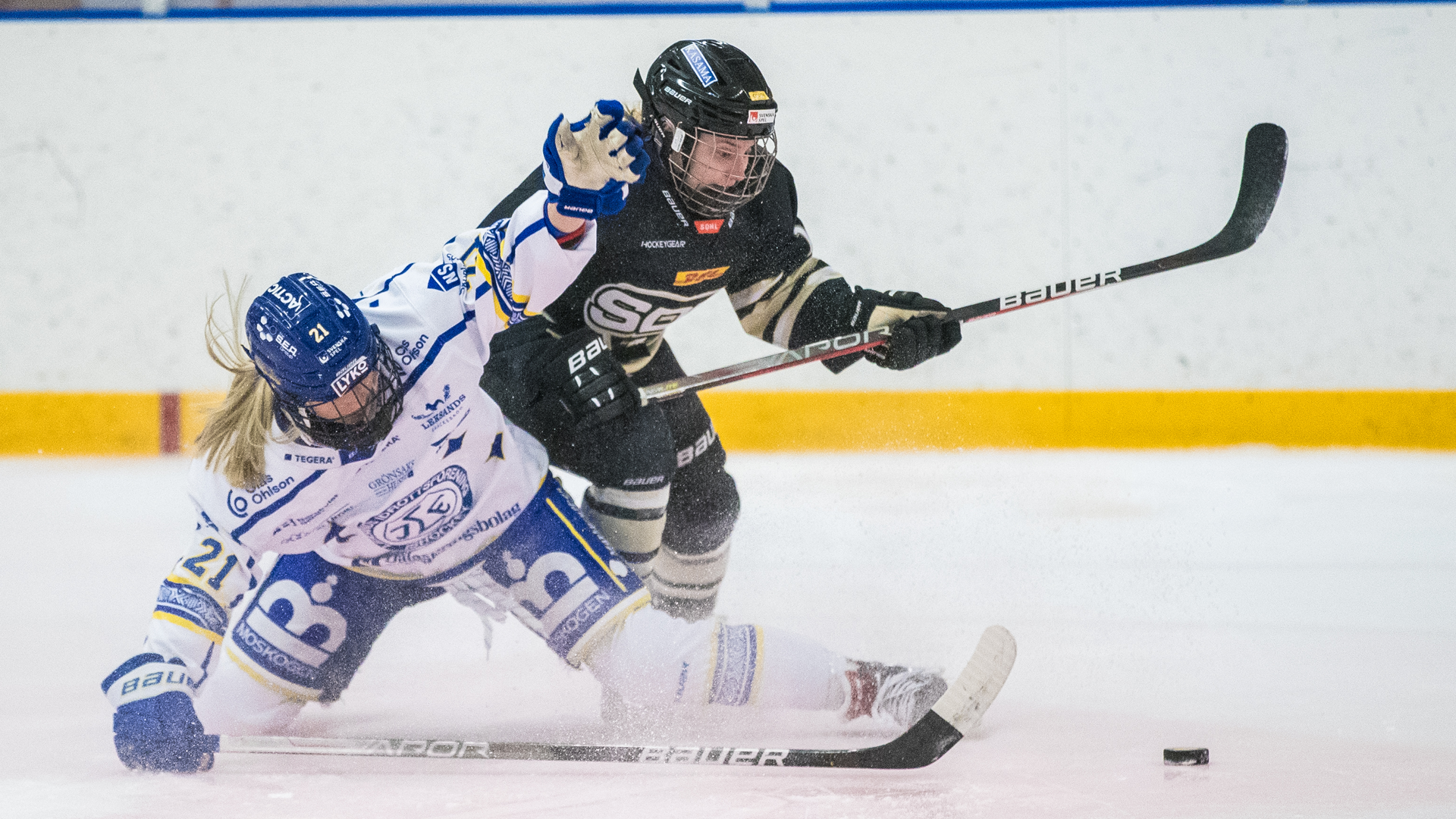 (27888) Magdalena Winbo