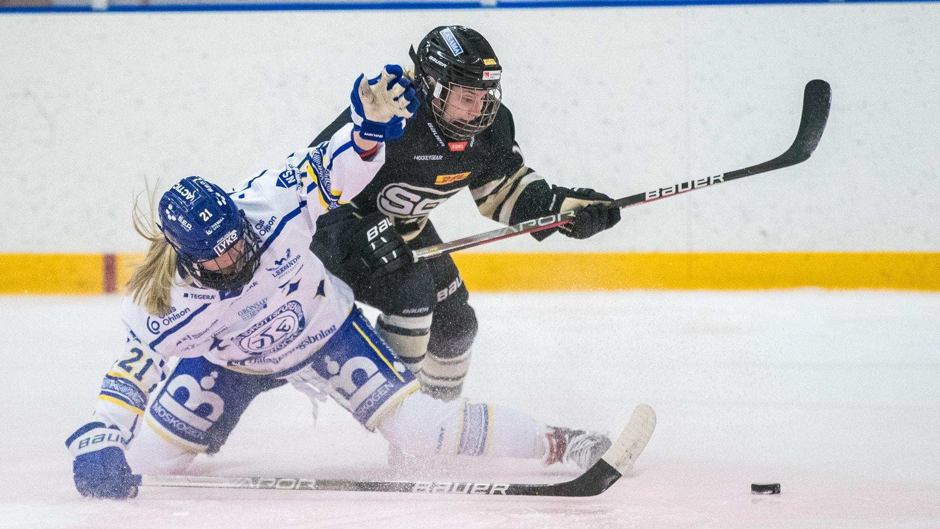 (27888) Magdalena Winbo