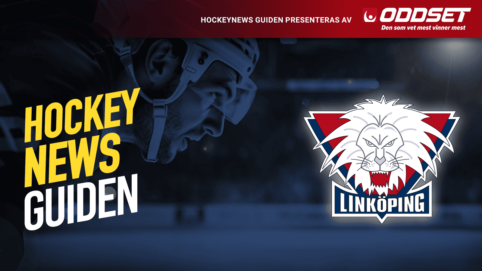 linkööing guide toppbild