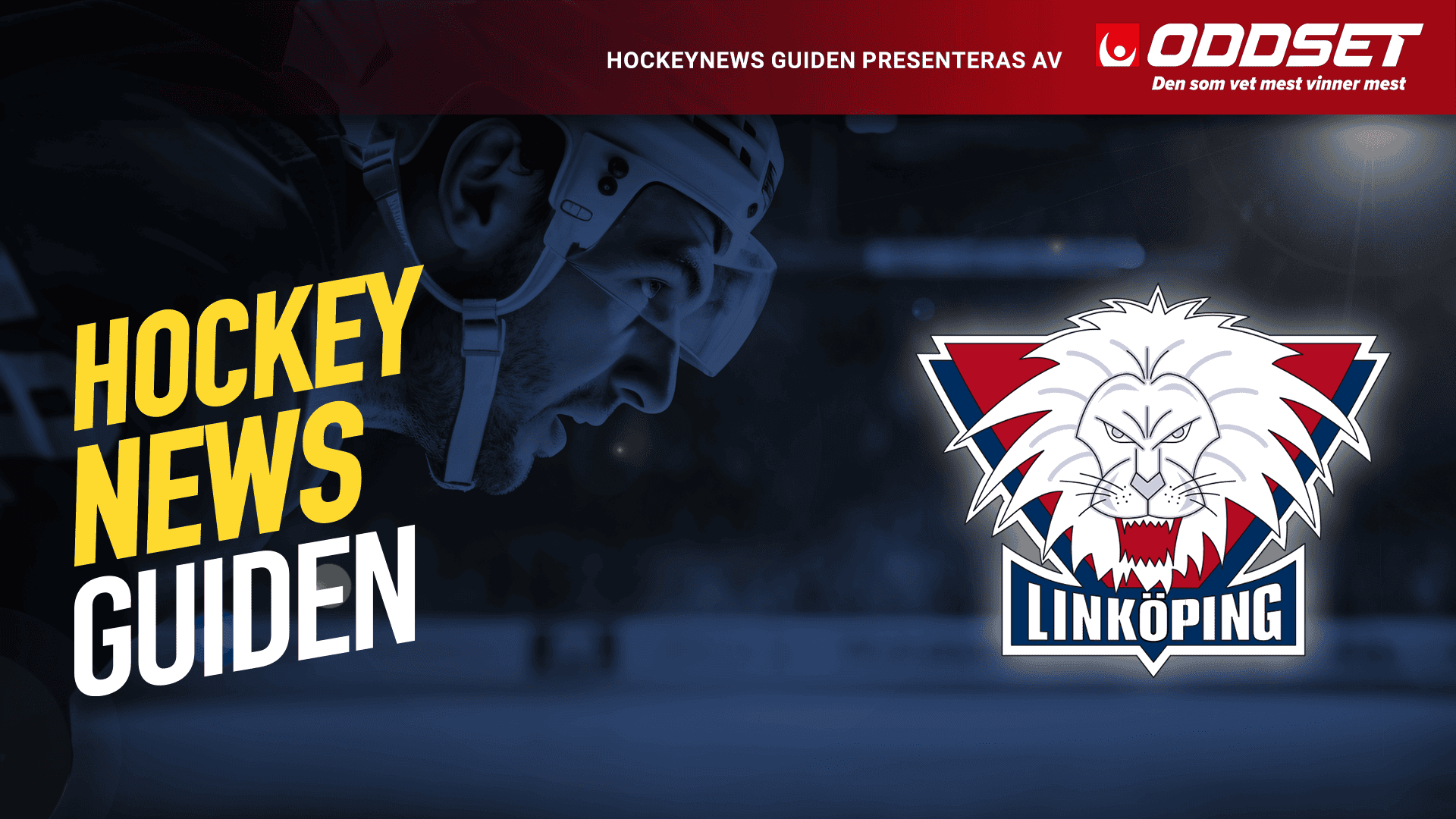 linkööing guide toppbild