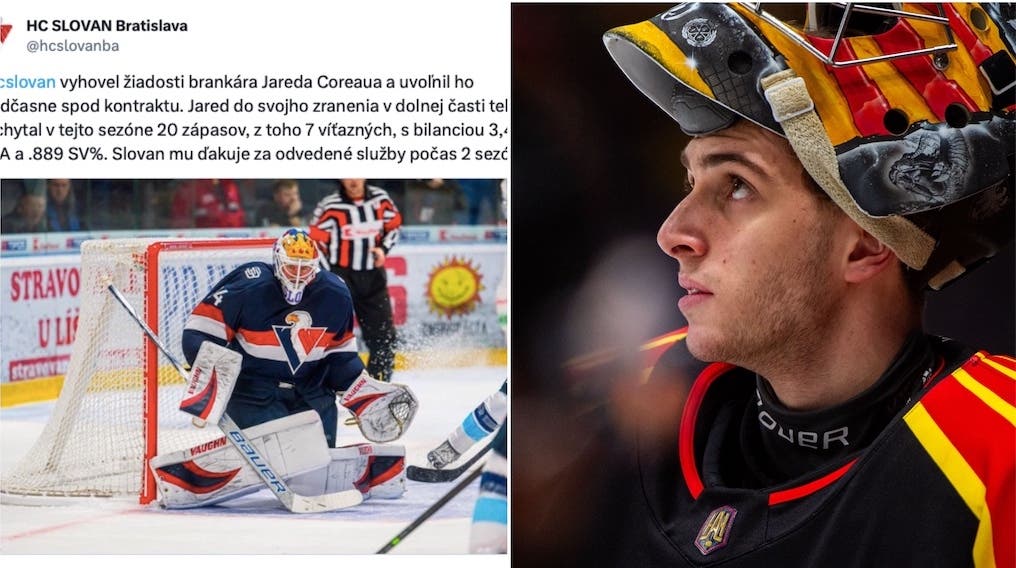 (31993) Slovan Coreau Clara