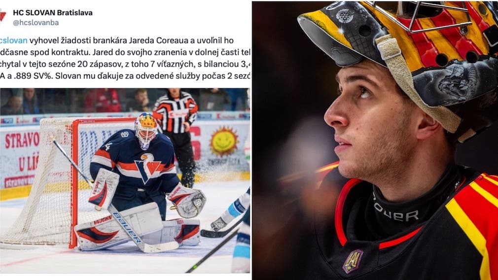 (31993) Slovan Coreau Clara