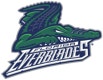 Florida Everblades