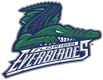 Florida Everblades