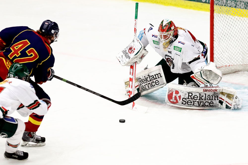 (4503) Hugo Fagerblom