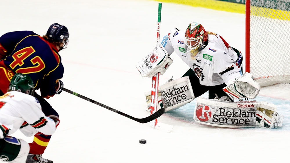 (4503) Hugo Fagerblom