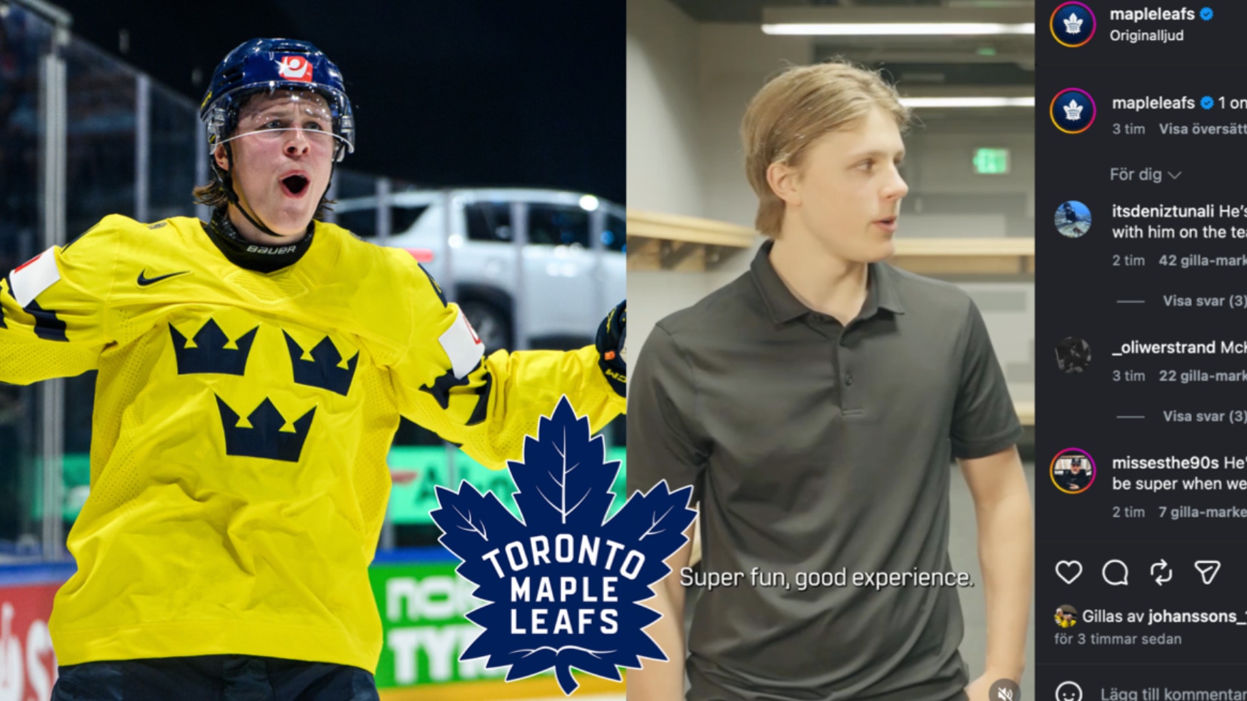 Ivar stenberg leafs