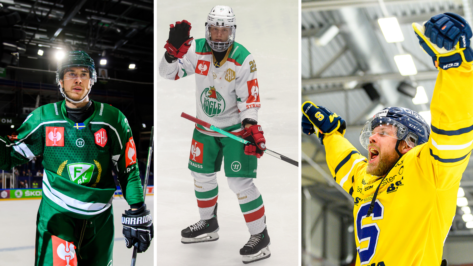 (24549) Helgens Matcher