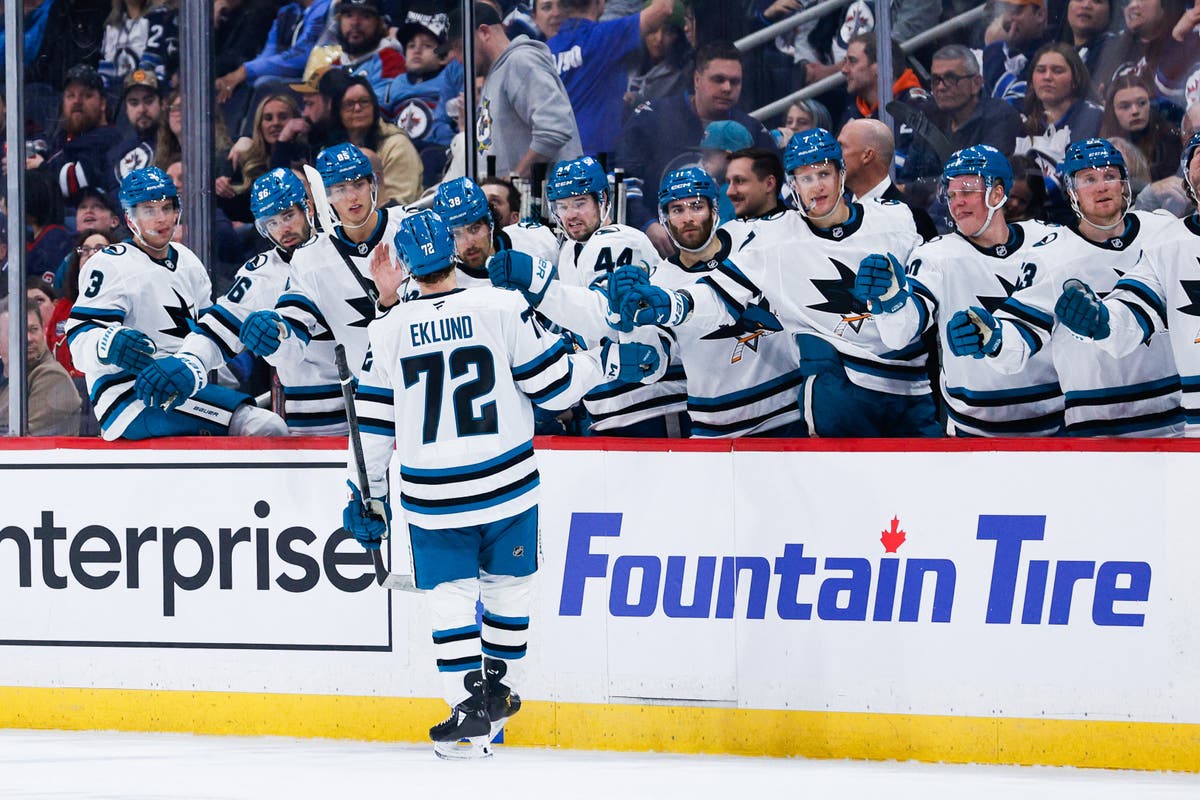 William Eklund San Jose sharks