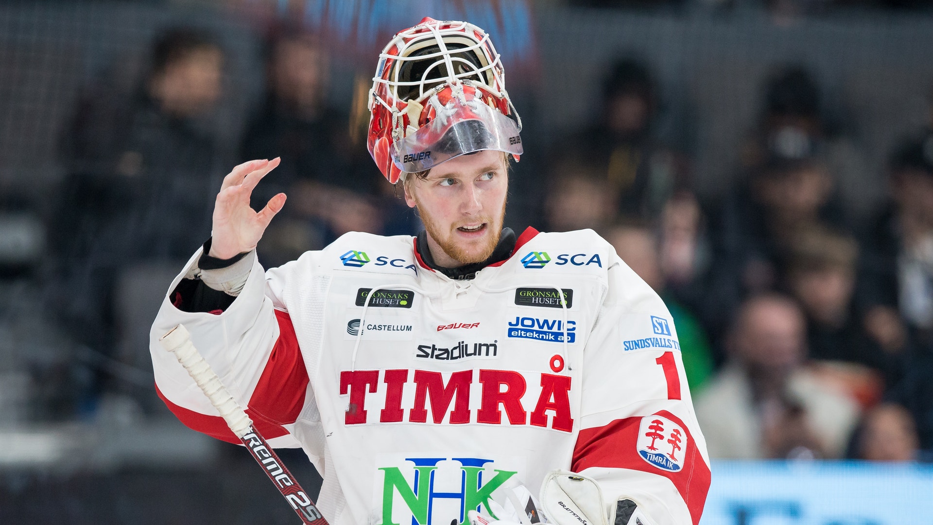 (8131) Victor Brattström