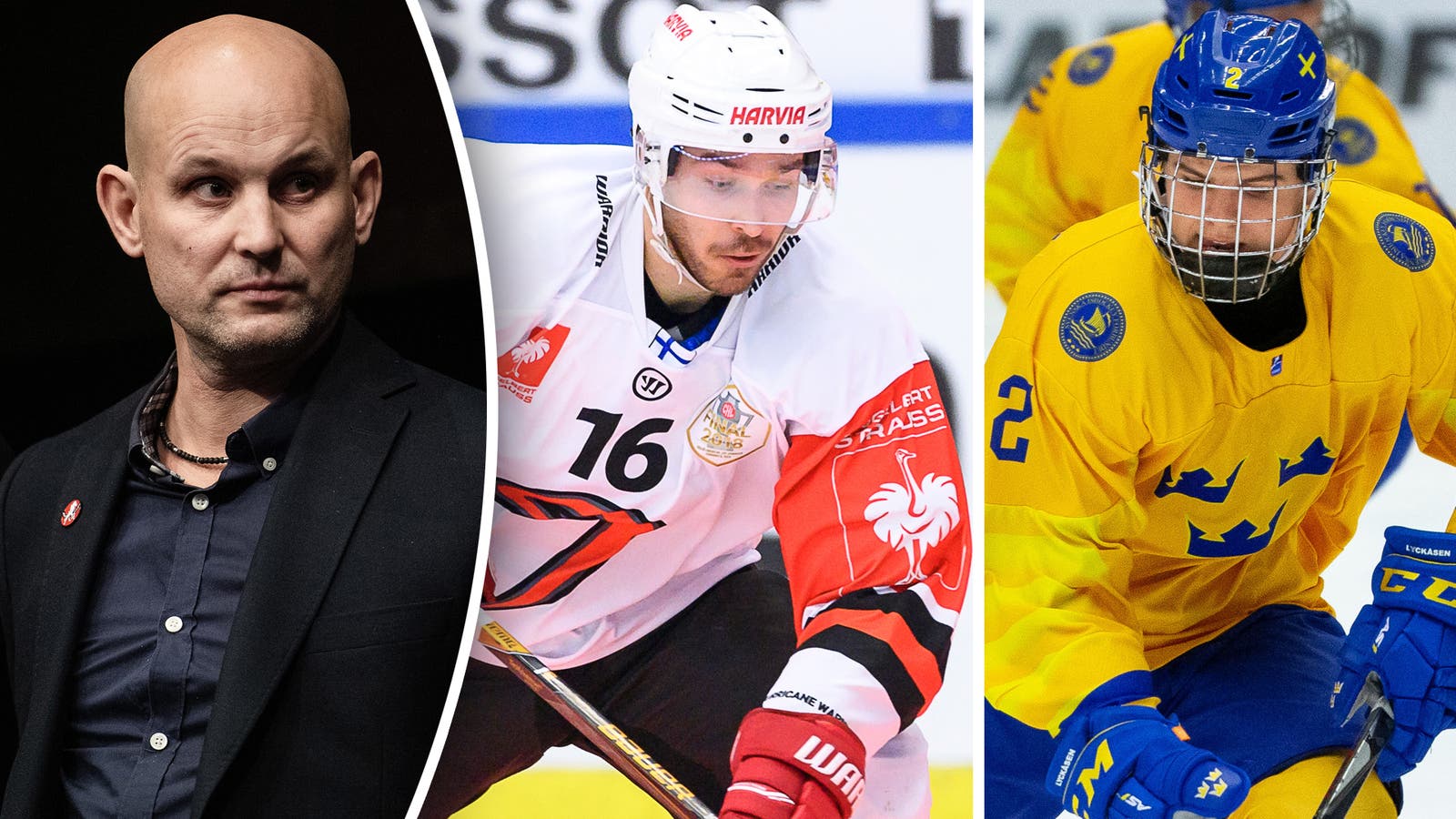 (14452) ZAbel-Vita Hästen