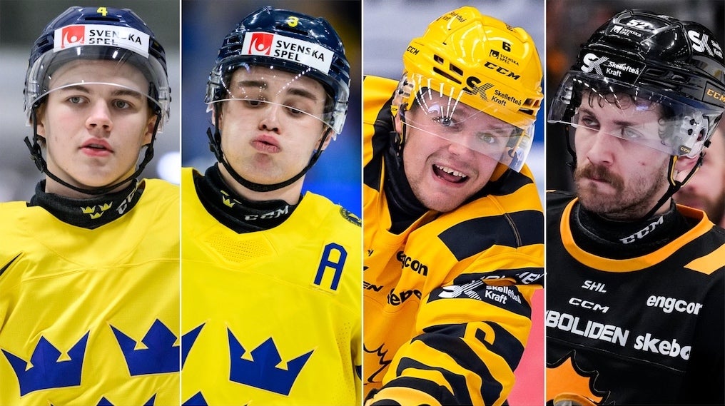 (31139) Pellikka Salomonsson Forsfjäll Lundberg