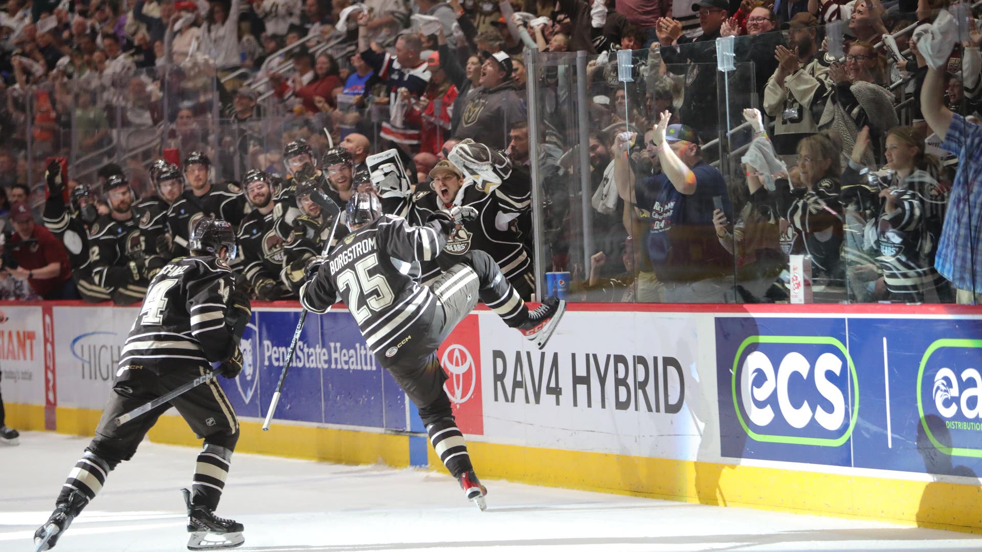 (28243) Hershey Bears