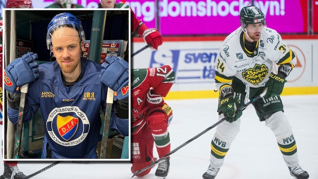 Daniel Brodin