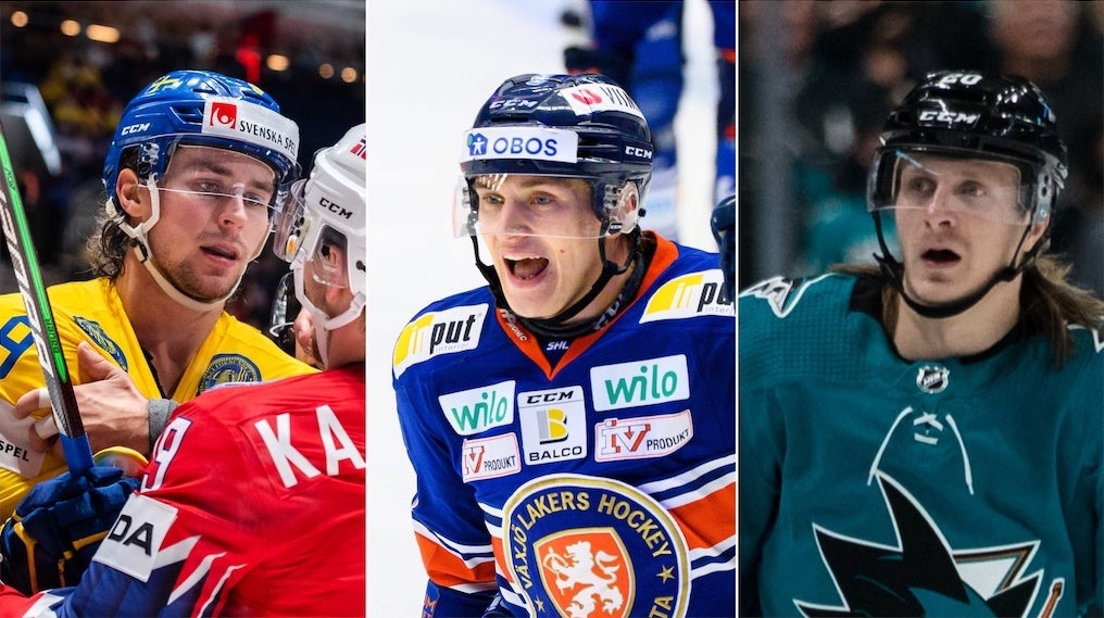 (19630) Adrian Kempe/Pontus Holmberg/Sörensen