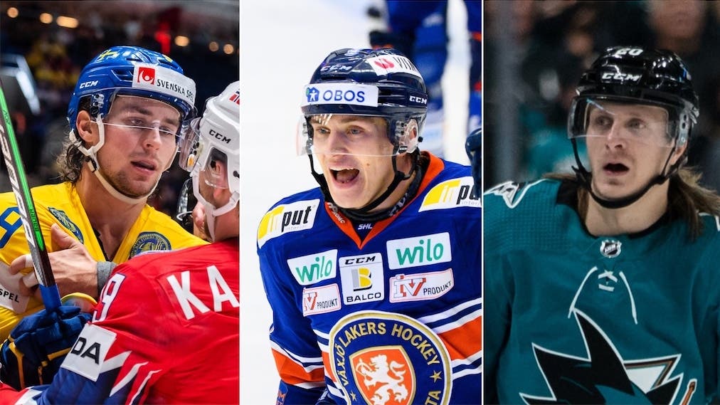 (19630) Adrian Kempe/Pontus Holmberg/Sörensen