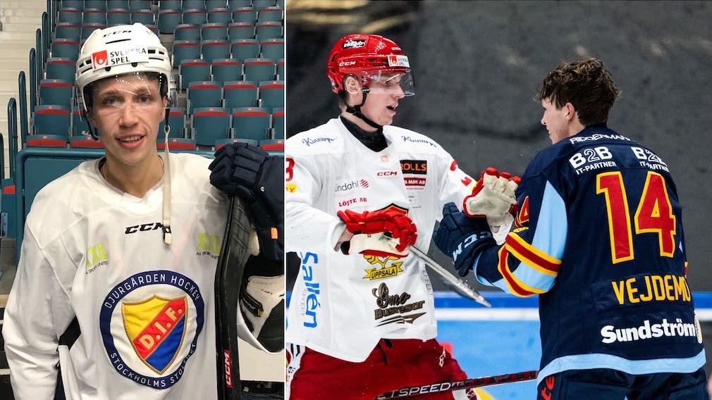 Mattias Ek/HockeyNews.se/Bildbyrån