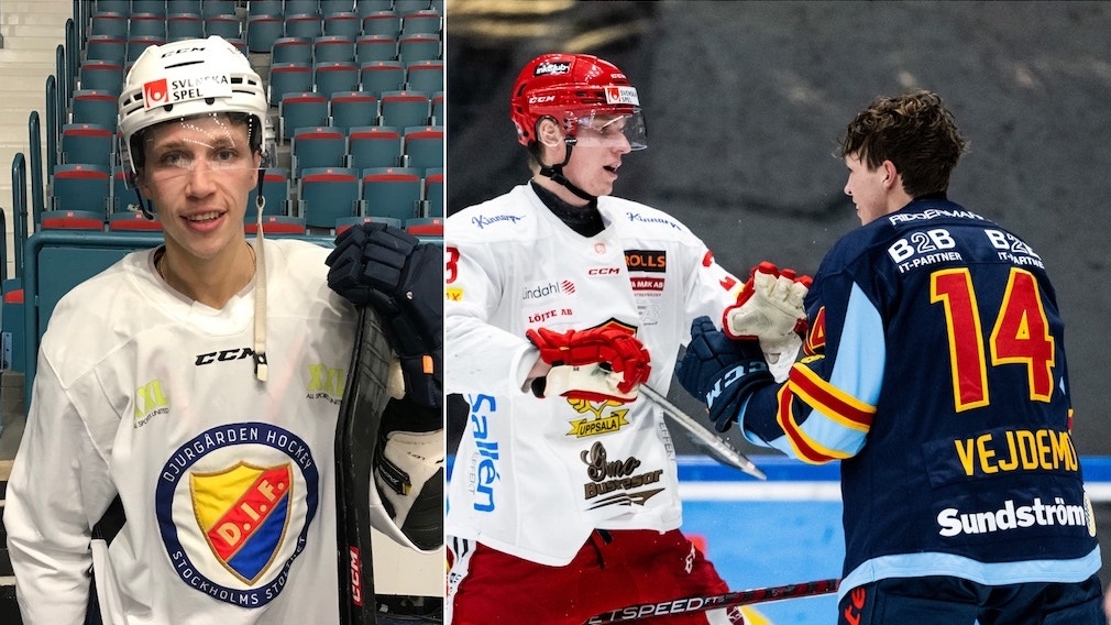 (27034) Lukas Vejdemo