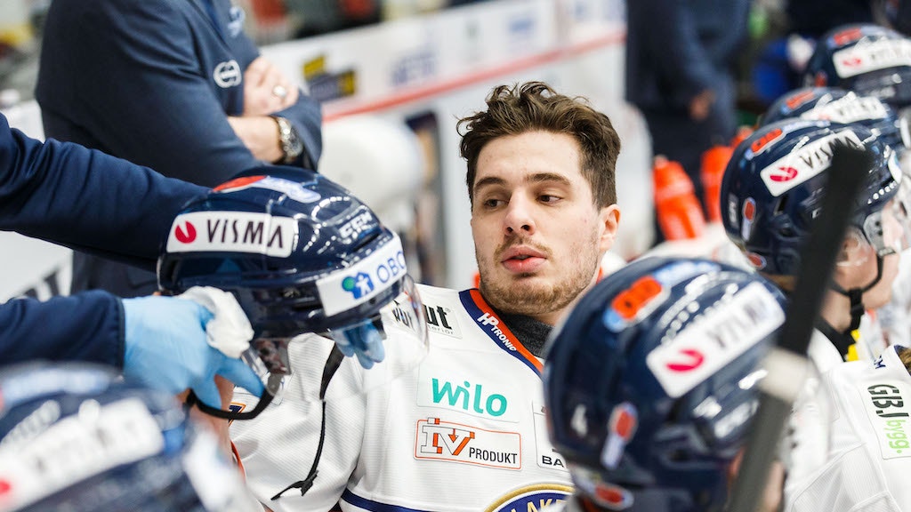 (17726) Hardy Häman Aktell/Växjö