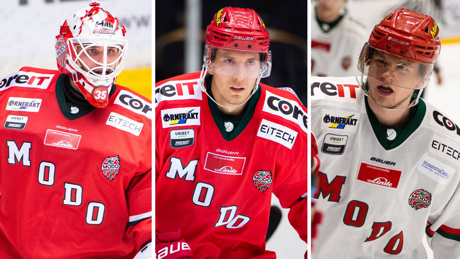 (13296) Modo-genomgång