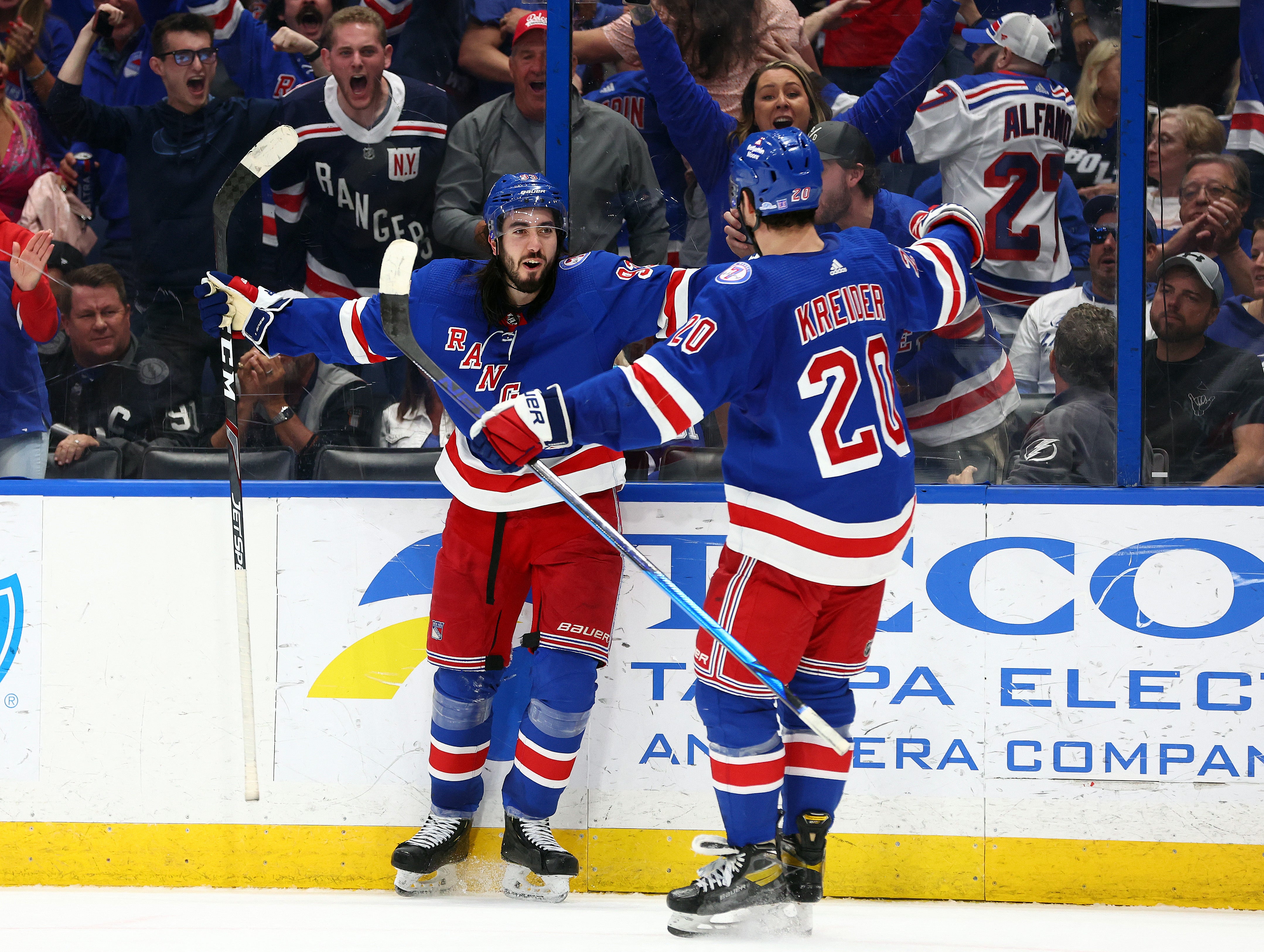 (22791) Mika Zibanejad