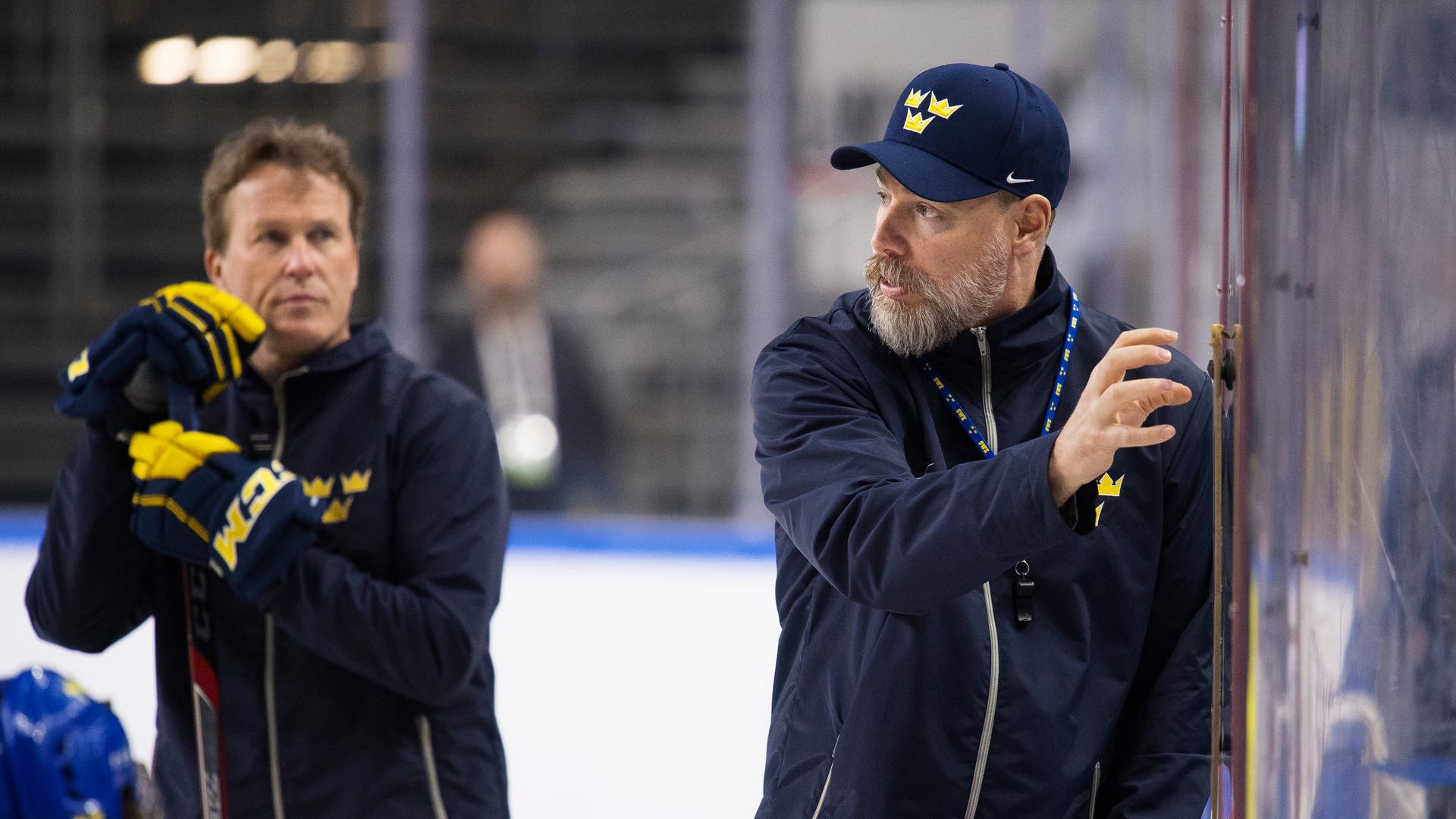 (3795) Grönborg/Garpenlöv