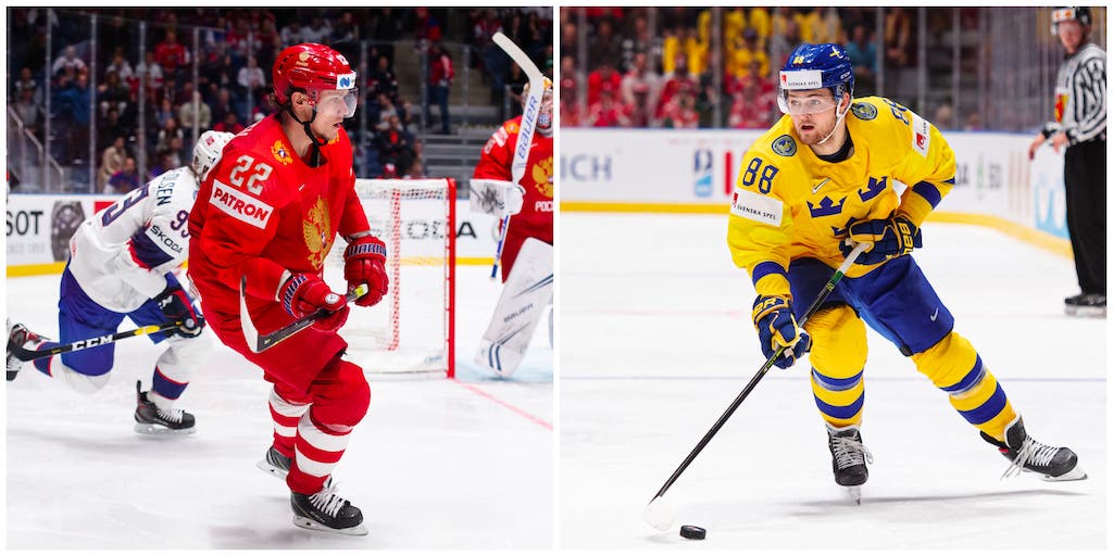 (8690) Nylander/Zaitsev