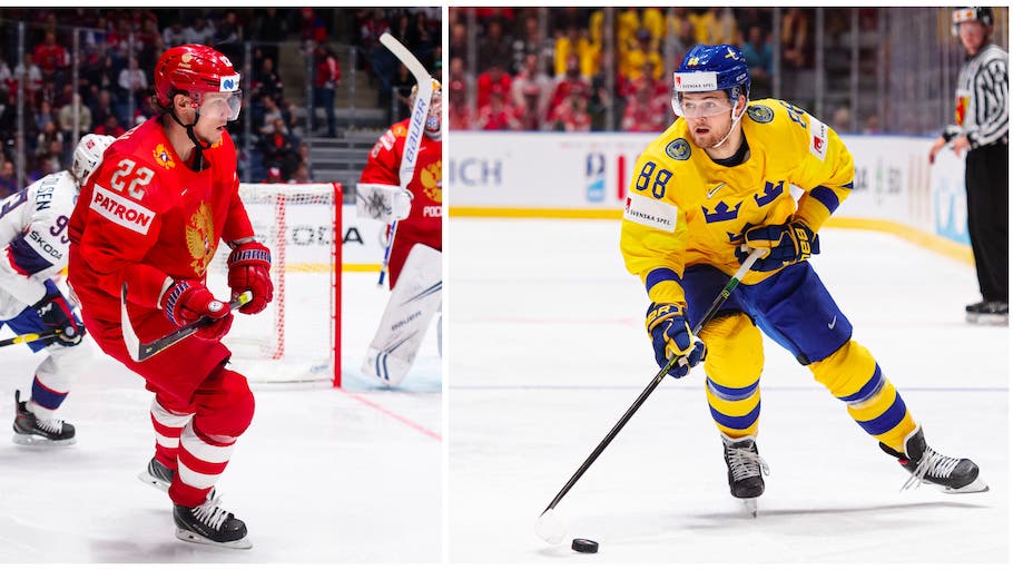 (8690) Nylander/Zaitsev