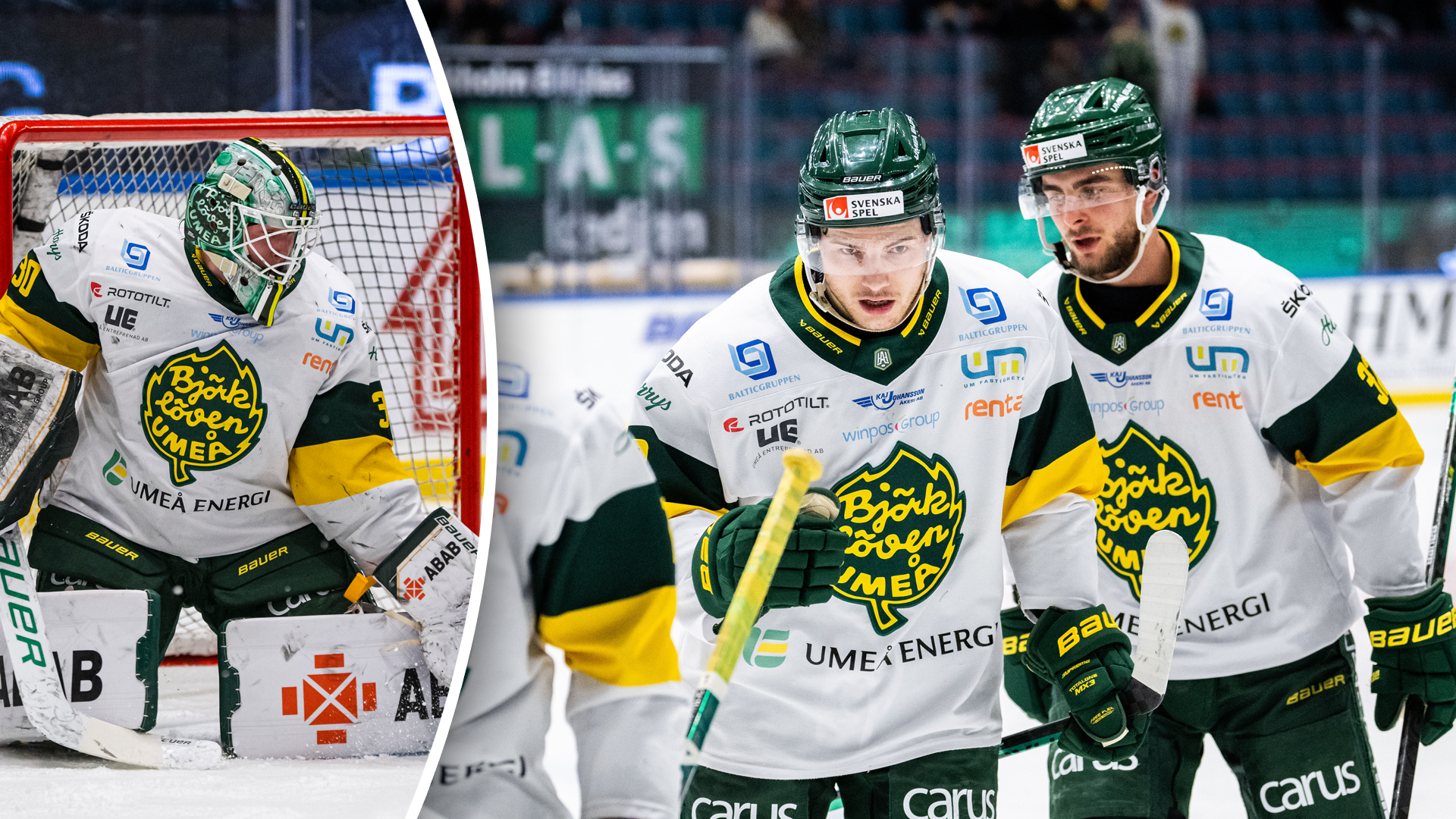 (26765) Björklöven