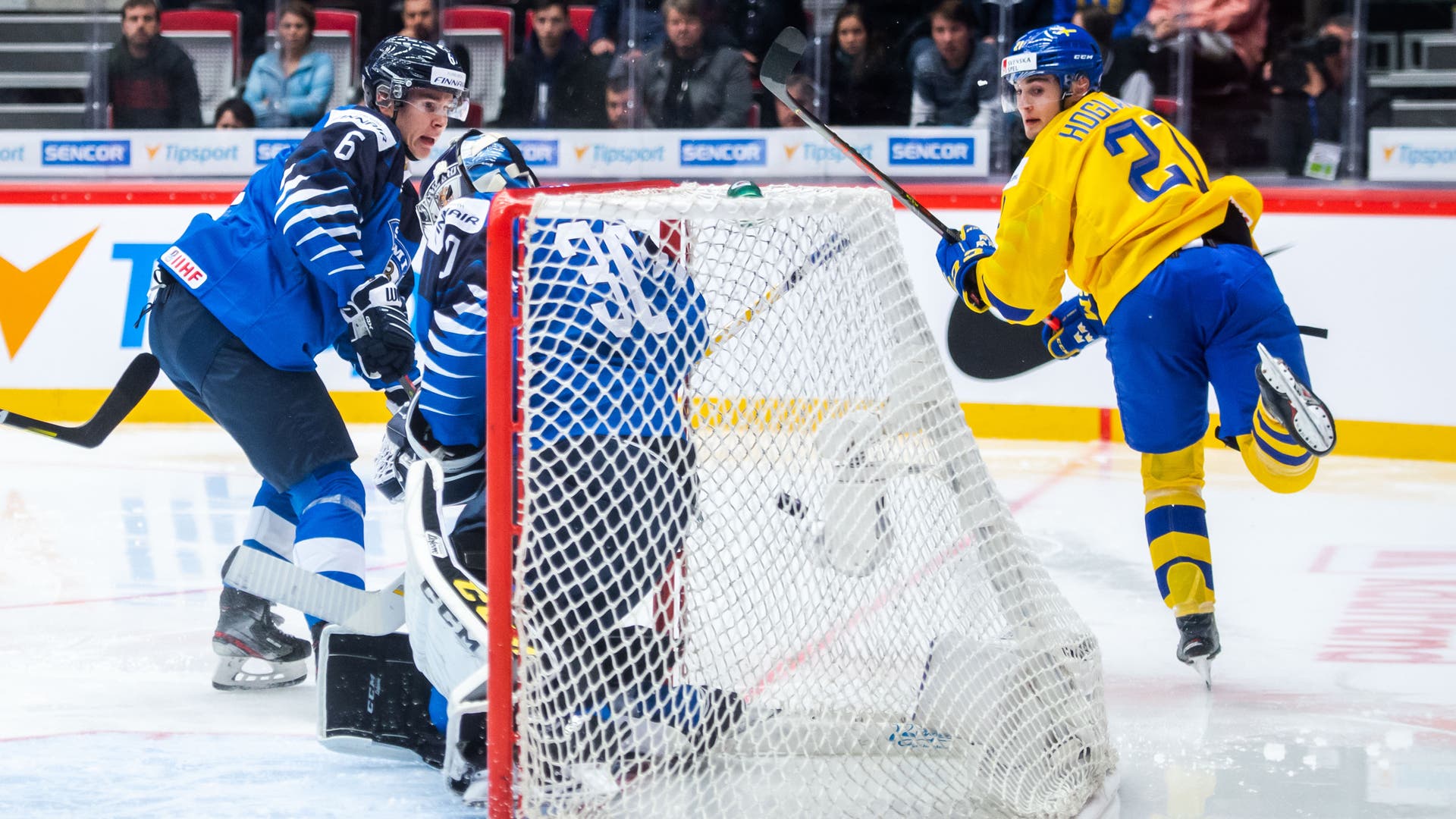 (11701) Nils Höglander