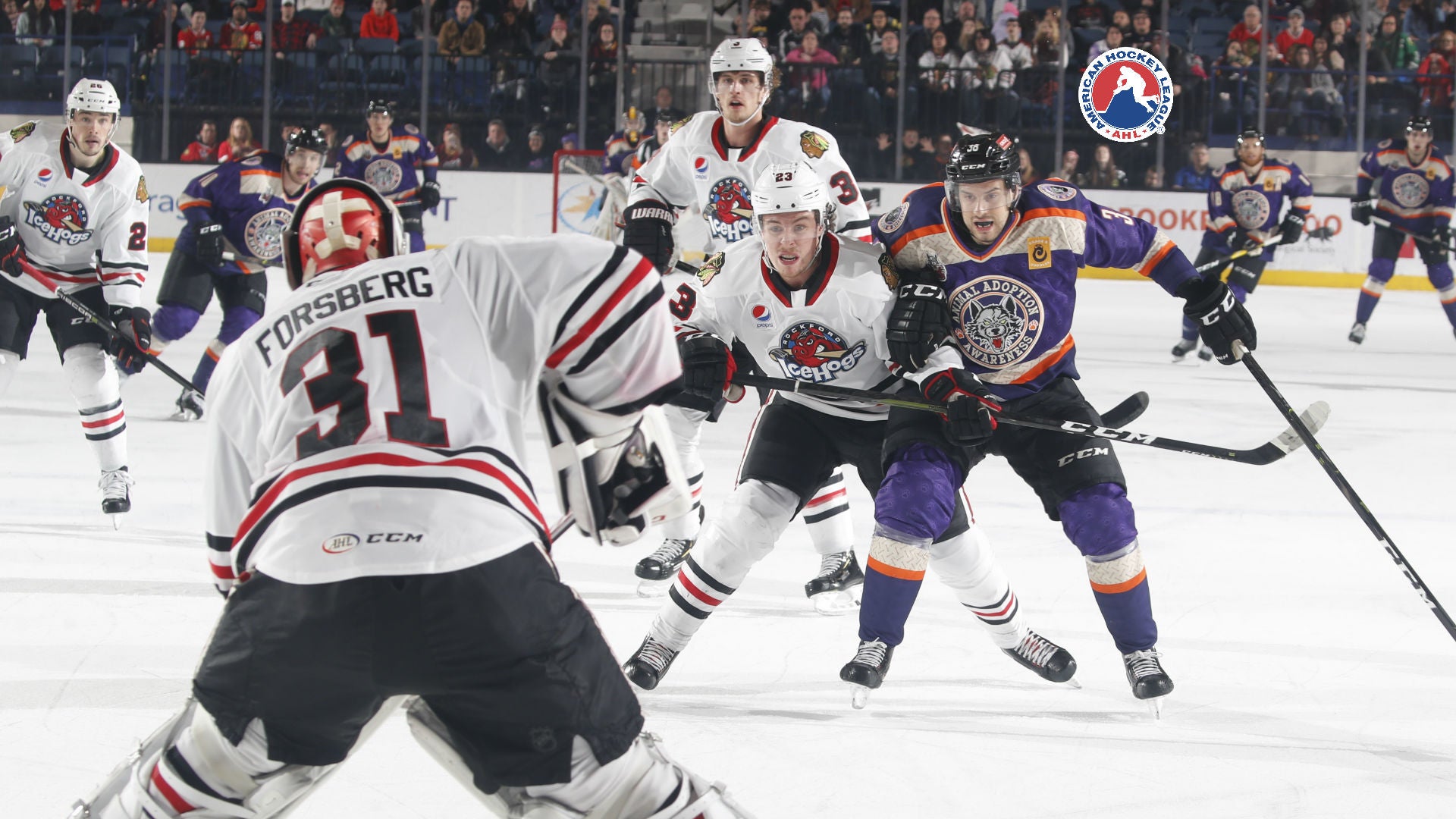 Ross Dettman/Chicago Wolves
