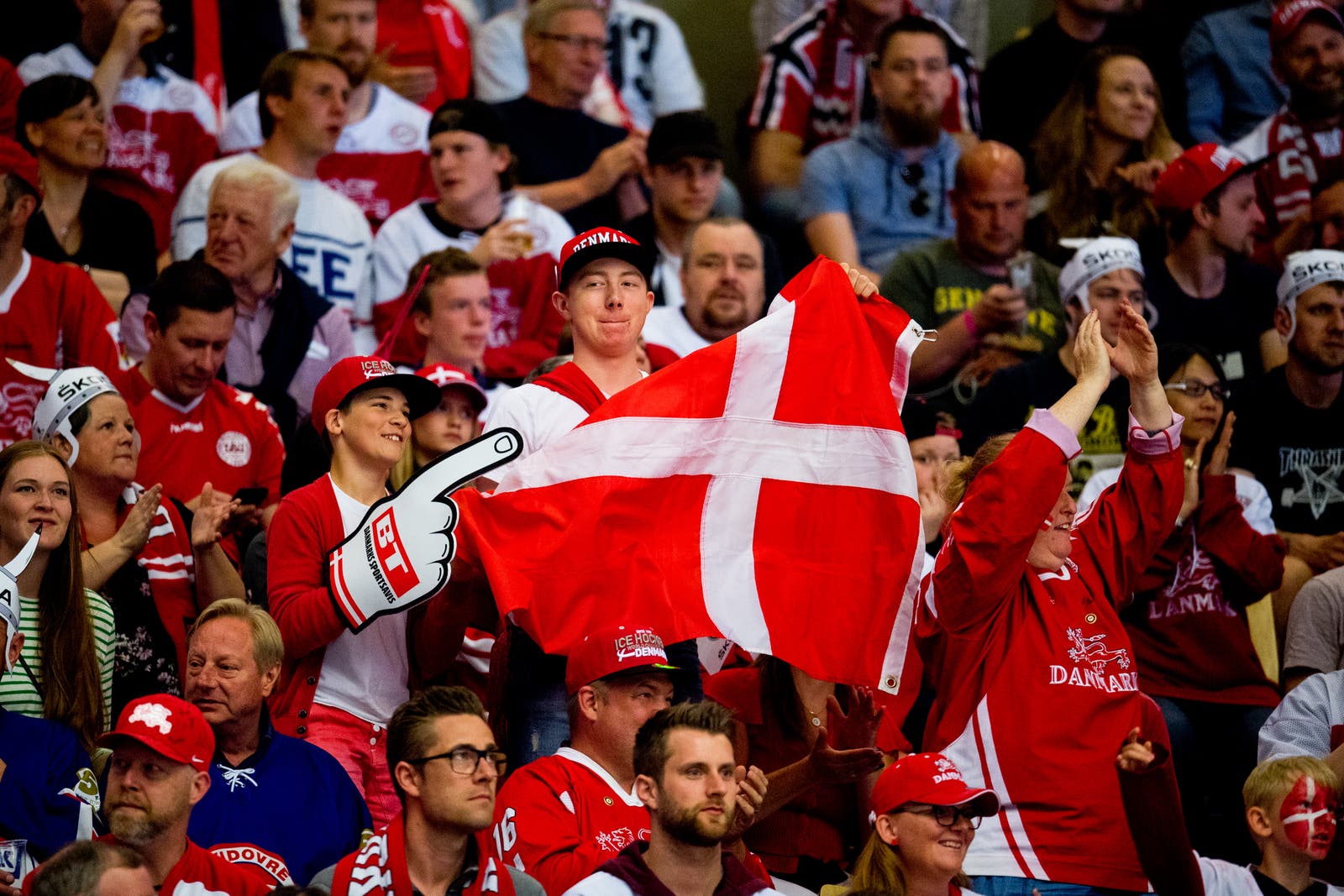 (23733) Danska fans